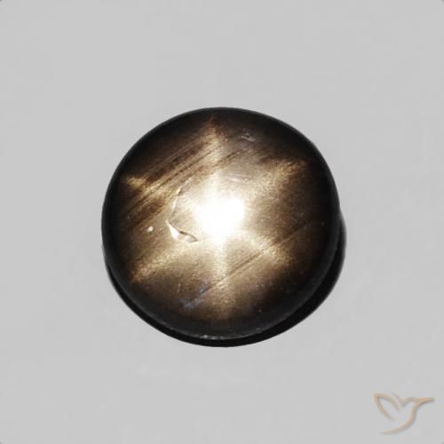 0.43 カラットのブラック スター サファイア宝石 | ラウンドカット